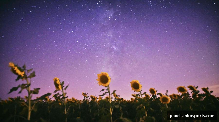 综述安博体育注册登录